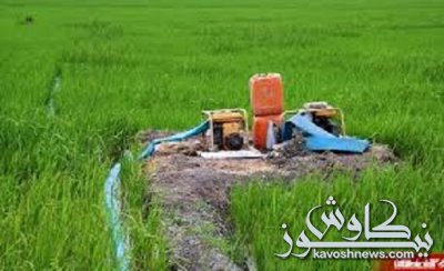 فعالیت ها و زنجیره های مزیت دار در گلستان کدام است؟