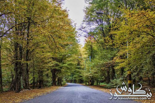 هیچ خودرویی روز طبیعت حق خروج از شهرهای گلستان را ندارد