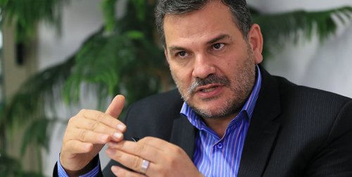 تولید جوجه‌های مازاد موجب انتشار آلودگی می‌شود/ قرار نبود جوجه‌ها را معدوم کنند