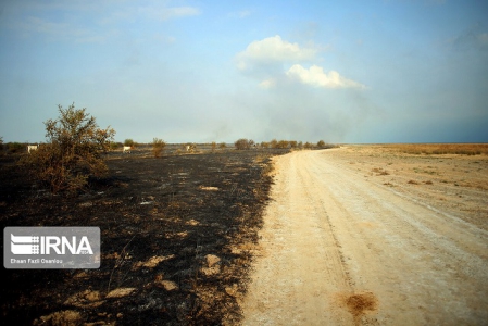 آتش سوزی در میانکاله